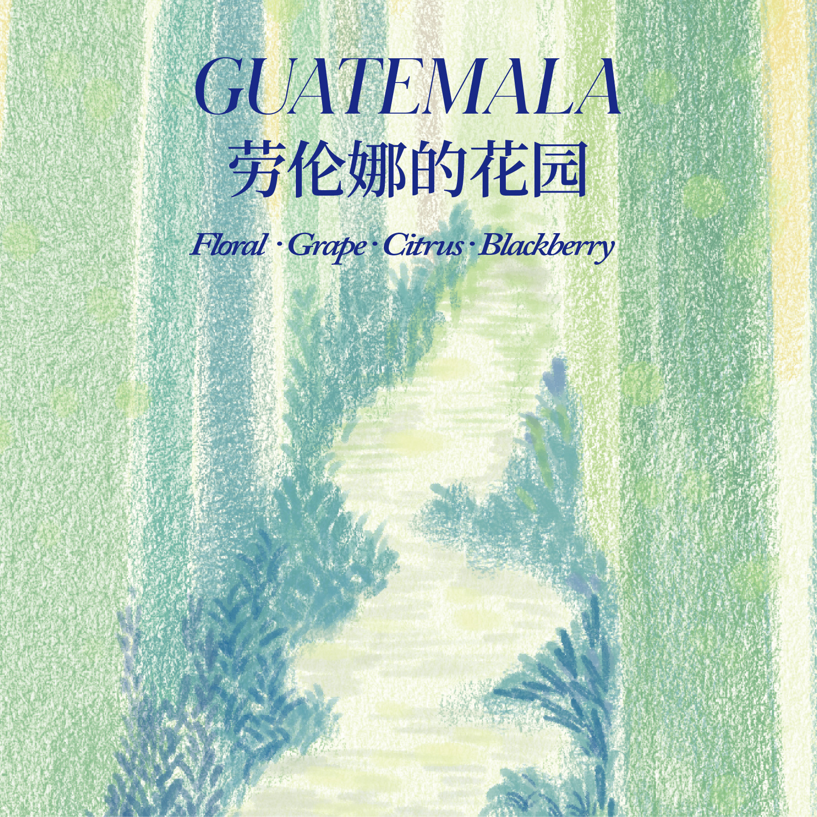 危地马拉 奎尔科 Finca Isnul 尖身波旁 （天然低因品种）日晒处理